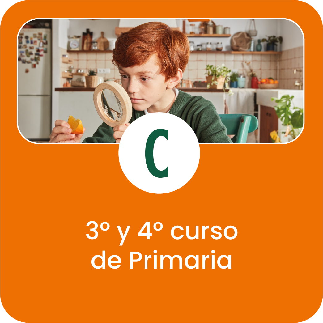 3º y 4º ciclo de Primaria