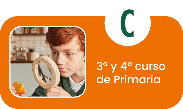 3º y 4º ciclo de Primaria