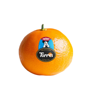 STICKER-MOCKUP-MICKEY-sin-hoja