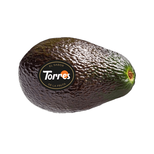 Aguacate Torres frutas tropicales de calidad
