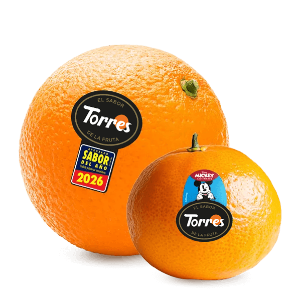 Mezcla de cítricos frescos Frutas Torres: naranjas con etiqueta Torres